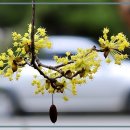 제이그랜드 이미지