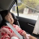 18 | 용인자연휴양림 18개월 아기 캠핑 숙박 후기