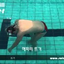 블로그 기초배우기 네이버블로그
