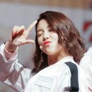 주희