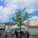 우정마트 | 군마트 후기 ^우정마트^