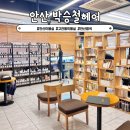 중앙미용실 | 안산 고잔동 미용실 박승철헤어안산중앙 나리디자이너 뿌리염색 후기