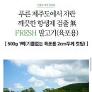 씨씨디푸드 말고기 수제간식 후기/기름기 과다, 고객센터 대응 불만족/재구매 없음