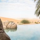 아인결혼정보 | 사막 호텔 견적 공유 | 어썸트래블(텔랄 리조트 알아인, 카스르 알 사랍, 두짓타니 아부다비, 그랜드...