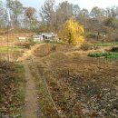 면중초등학교 이미지