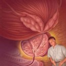 태릉본비뇨기과의원 이미지