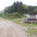 장안2교 이미지