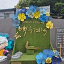 흥룡사 청암부도 | 흥룡사 청암부도 백운계곡 포천 아이랑 갈만한곳 여름휴가