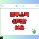블루스택 녹스 미뮤 LD플레이어 비교 2025