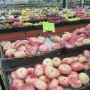 노아한의원 | 20240620~20240801 미국 여행 2부