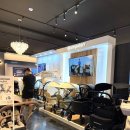 셀럽의 여름 식탁 | 휴대용 유모차 잉글레시나 퀴드3 직접 끌어보고 구매한 후기