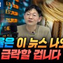 환율은 이 뉴스 나오면 급락할 겁니다 (신한 프리미어 패스파인더 오건영 단장) 이미지