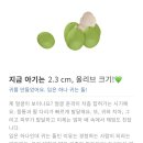 임신일기 | 9-11주차 / 배나옴 / 운동 고르기 / 조리원 계약