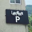 호텔 라벤더 제주 이미지