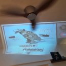 도수상사 이미지