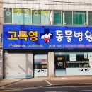 고득영동물병원 네이버블로그