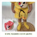 떼떼상점