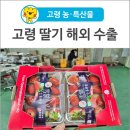 우리들엔영농조합법인 | [고령 농·특산물] 무농약 재배 딸기 '우리들엔 영농조합법인' 해외 수출