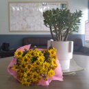 선물부동산공인중개사사무소 이미지