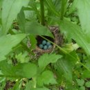 풍경시골 이미지