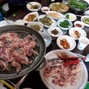 남강오리알 이미지