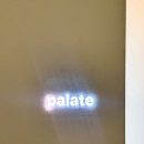 팔레트 | 부산 미슐랭 맛집 파인다이닝 팔레트 런치 후기