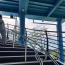 출렁다리농산물 | [여주 남한강 출렁다리 후기] 남한강뷰 감성 가득한 산책코스&amp;뷰맛집 카페 보드로 방문기