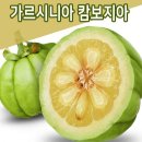 슬림푸드 이미지