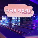 이충복 당구클럽 | [고양시 가볼 만한 곳] 빠삐용 락 볼링장