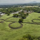 스테이다정 이미지