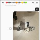 파스쿠찌 증평점 이미지