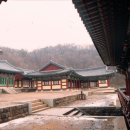 성불나라 이미지