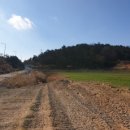 빛가람장성로 이미지