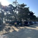 [충남/태안] 애견동반, 아이들과 가기 좋은 태안 캠핑장 :: 어은돌오토캠핑장 이용방법, A 구역 후기