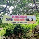 벧엘애견 네이버블로그