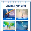 숭인초등학교 이미지