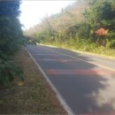 중문동-14 이미지