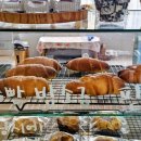 [덕계] 빈티지 가죽공예 | 도솔산 아래 숨은 감성카페 시은우｜콜드브루 디카페인 + 소금빵 + 여행모임 후기