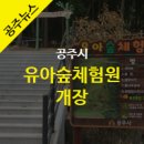 공주산림휴양마을 유아숲체험원 이미지