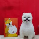 개린이미용실 이미지