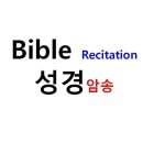 성경건축사사무소