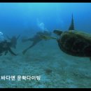 바다앤 문학다이빙 네이버블로그