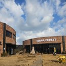 디아나 | [용인]디아나아트홀 뮤지컬'꿀벌 마야의 모험'공연관람후기와 카페 디아나수풀 이용후기