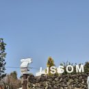 제주언니 | [리뷰/제주] 애월 제주도의 맛, 언니식탁 (순살갈치덮밥, 맑은접짝뼈국 후기)