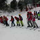 대마초등학교 이미지