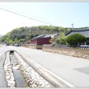 모평마을숲 Daum카페