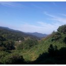 사내농장 이미지