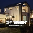 하도리움 | 하도리움 제주도 동쪽 숙소 후기 구좌읍 여행 오션뷰 추천