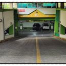 침산초등 이미지