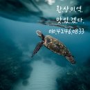 시원한 국물요리에 완도산 건다시마 추천👍👍 이미지